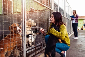 woman adopting senior dog