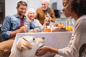 family at table with dog being pet for thanksgiving dinner