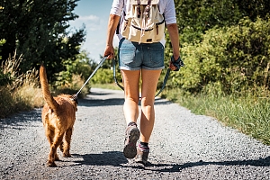 Northern VA girl hiking walk with dog