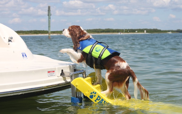 Paw-Pals-Boat-Safety