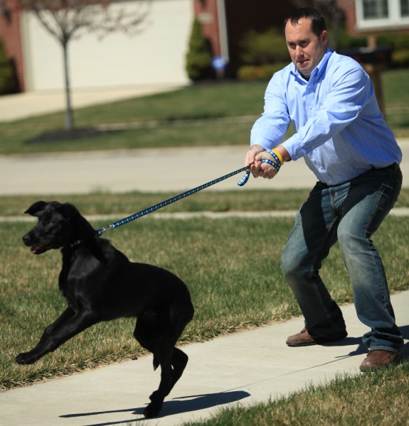 “Why Won’t My Dog Heel?” A Guide to Leash Training Paw Pals Pet Sitting