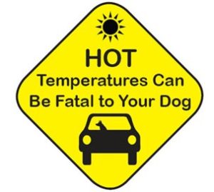 Paw-Pals-Hot-temps-fatalities