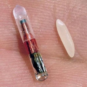 microchip