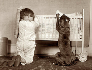 pit bulls are misunderstood but are nanny dogs