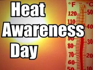 Paw-Pals-National-Heat-Awareness-Day