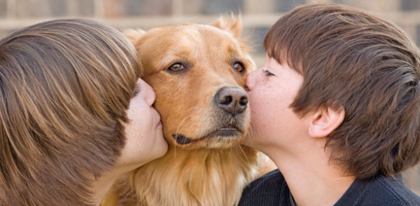 Paw-Pals-Pet-Appreciation-Week-600x294