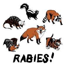 Paw-Pals-Pet-Sitting-Animals-with-Rabies