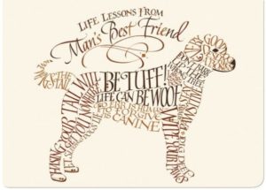 PawPals-Friends-Forever-600x429
