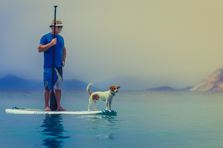 Man on paddle board with a good dog