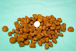 a dog pill in the middle of dog food