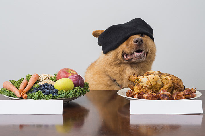 Dangerous Foods For Dogs