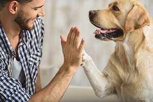 Preventing Heartworm Infection