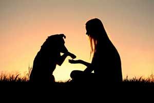 women learning how to discipline a dog outside