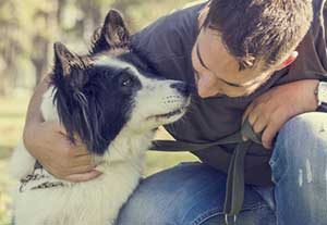 learning how to discipline a dog on a nice day