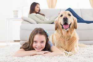pet-friendly