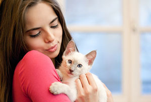 Paw Pals pet sitter taking care of cat during Chantilly, VA cat sitting services