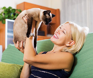 Pet sitter playing with cat during Paw Pals Oakton, VA cat sitting services