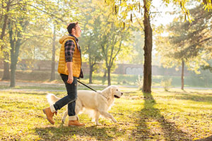 Paw Pals dog walker dog walking service