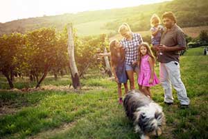 Family with dog at one of the top dog friendly wineries in Northern Virginia