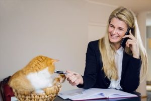 woman calling one of the pet friendly hotels in Northern Virginia with her cat sitting right next to her