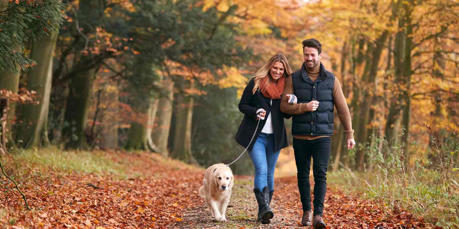 couple on a dog trails with a golden lab