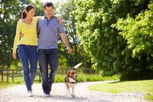 a couple walking their dog on one of the many wonderful dog trails in Northern Virginia recommended by Paw Pals