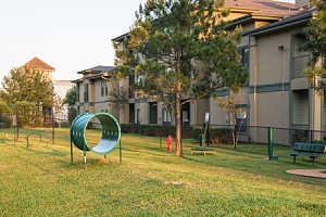 dog park in an apartment complex
