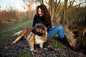 a professional dog sitter taking care of a shepherd while his owners are out of town on business meetings