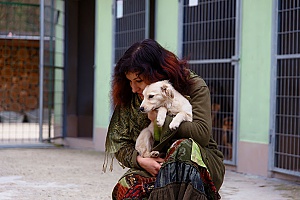 a woman who is holding her brand new shelter dog that she just decided to adopt and bring home