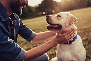 a dog with the owner of a pet sitting services company enjoying time outside while the dogs owners are out of town