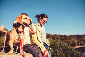 people engaging in springtime activities with their dog in Reston, VA