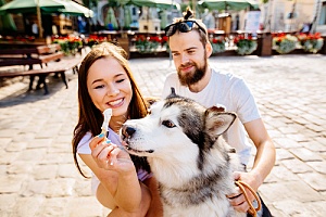 couple feeding their dog at a dog friendly restaurant