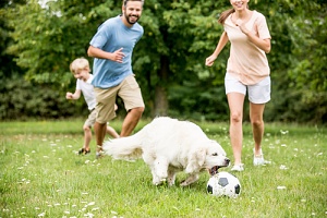 family playing games with dog at the park
