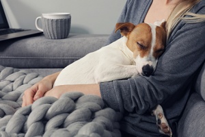 a dog that needs their owner to help relieve arthritis pain in dogs