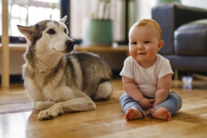 Baby and Dog
