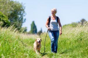 divide your walk into segments