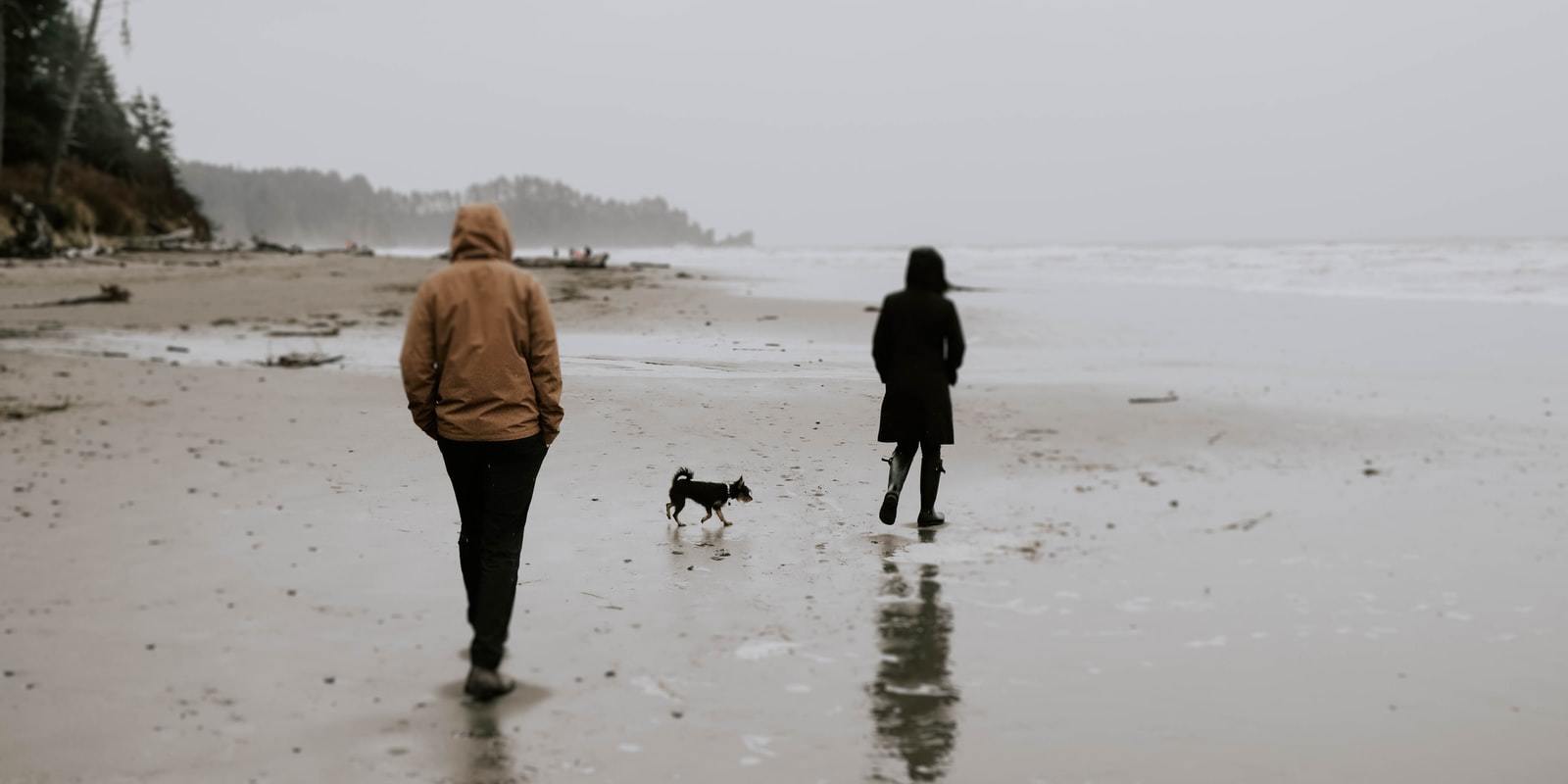 Essential Dog Walking Tips For A Rainy Day