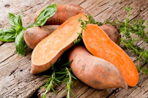 sweet potato is good food for a sick dog