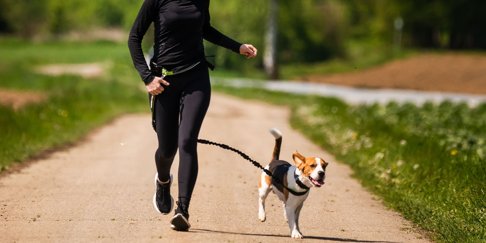 women learning how Walking Your Dog in hot weather