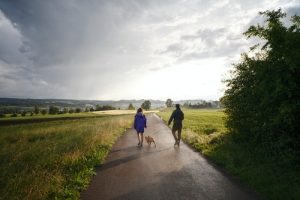 dog walking tip - keep walks brief