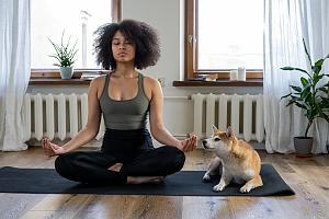 Owner and pet in quarantine doing yoga 