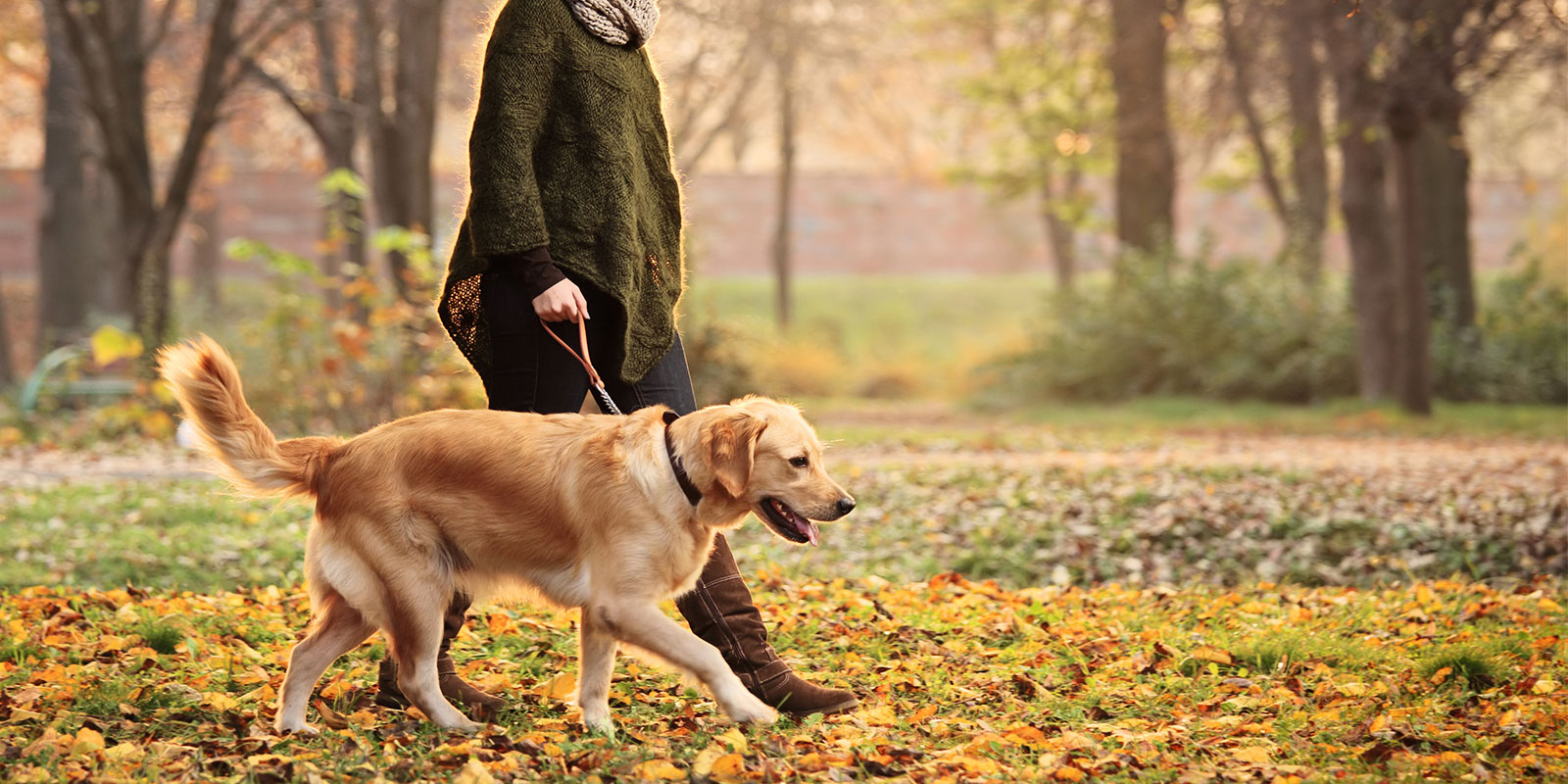 women walking her dog through fall leaves