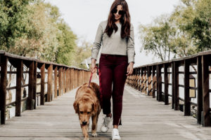 besides burning calories walking a dog is needed for their well-being