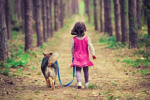 girl dog walking services in northern virginia her dog on a leash