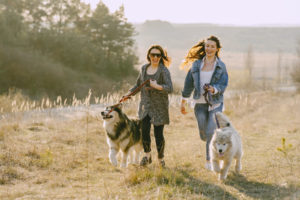 walking is beneficial for the dogs and their owners