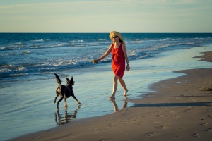 dog owner playing with her pup doing off leash training