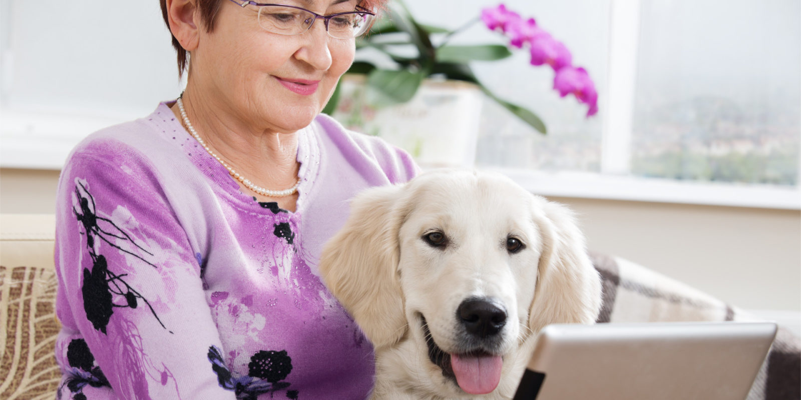 dog owner and her pet look at prospective pet-sitting companies on her ipad