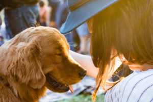 dog that is off leash is caressed by it owner after following commands