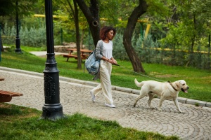 Fair Oaks VA Dog Walking service walking a lab outside