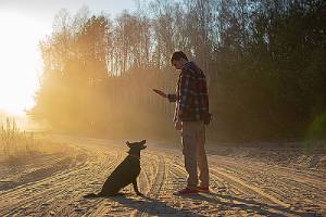 A man commands his dog to sit working on why dog won't come inside